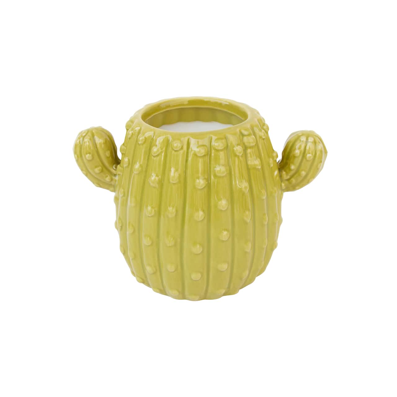 Bougie en forme de cactus au parfum de bois de santal d’Ashland